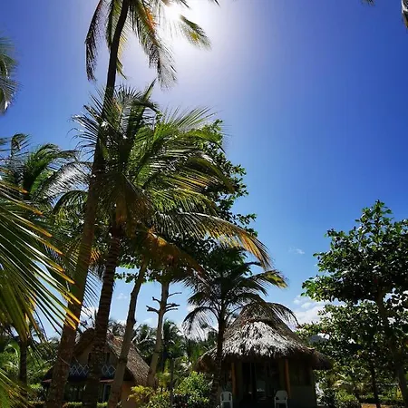Hotel Playa Mandala Palomino Exterior photo