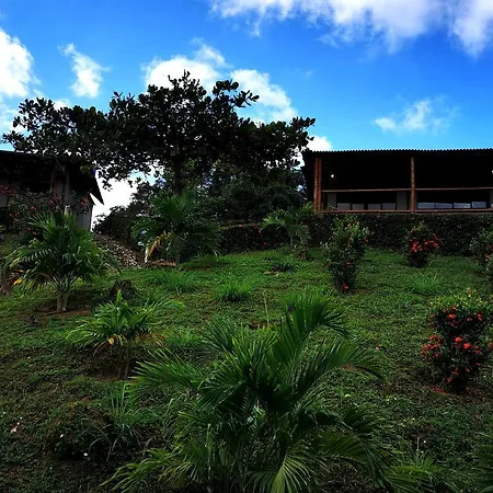 Hotel Playa Mandala Palomino Exterior foto