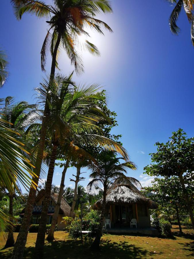 Playa Mandala Palomino