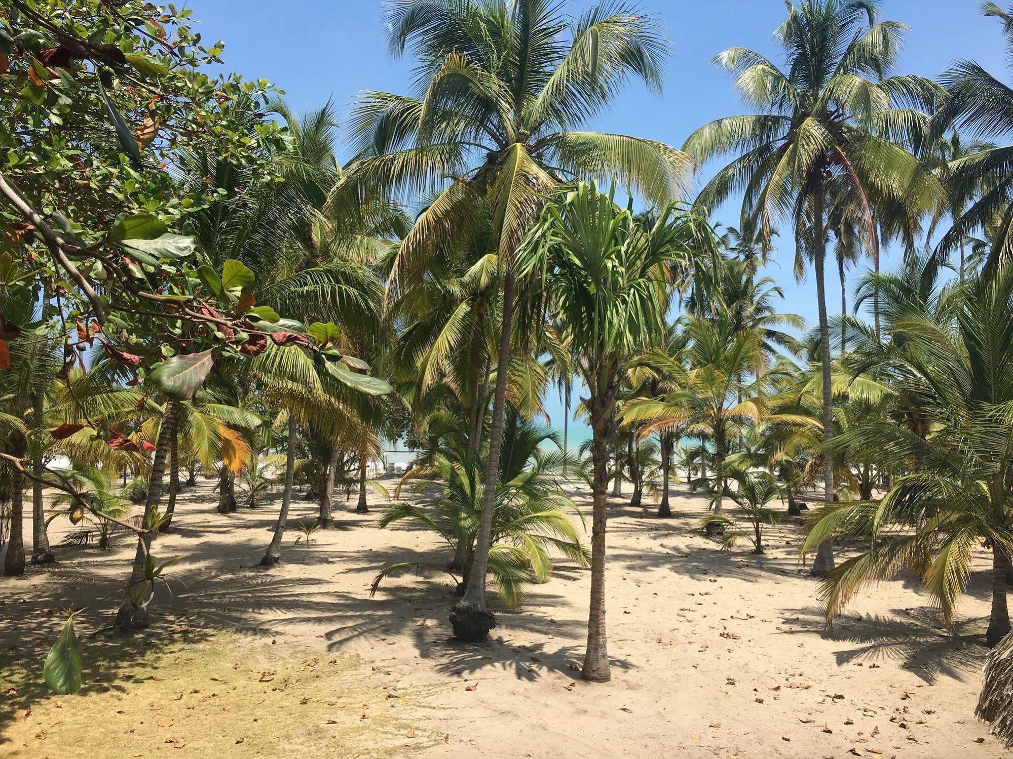 Playa Mandala Hotel 3*