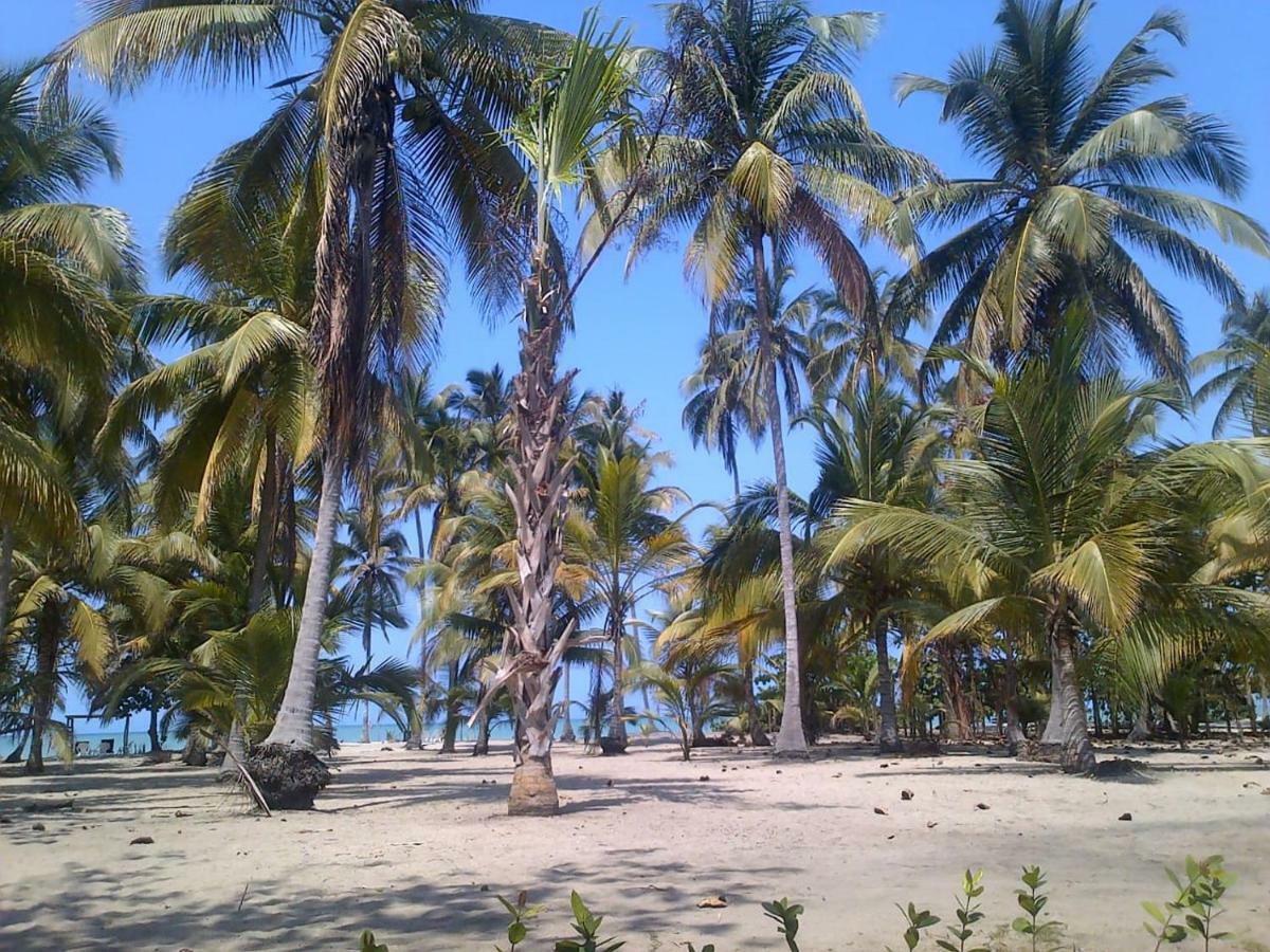 Playa Mandala 3*