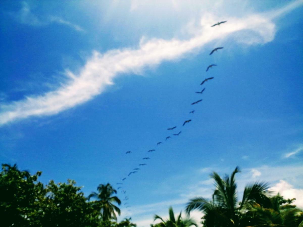 Hotel Playa Mandala Palomino